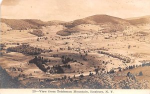 View from Teichman Mountain - Roxbury, New York NY  