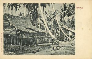 straits settlements, Malay Malaysia, PENANG, Native Dwelling (1899) Postcard