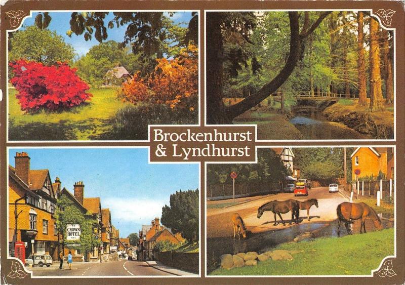 B100411 brockenhurst  and lyndhurst   uk