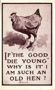 1911 Chicken Painting Quotes Sayings if the Good Die Young Vintage Postcard