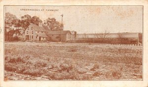 Panmure New Zealand ? Allen Nurseries Greenhouses Vintage Postcard AA68552