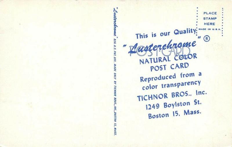 Advertising, Tichnor Brothers Postcards, Motel