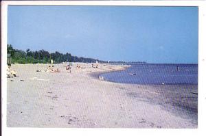 People Sunbathing, Long Point Beach, Lake Erie  Ontario,