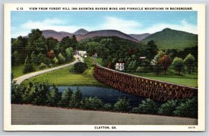 Clayton GA~Forest Hill Inn Ravens Wing & Pinnacle Mts~Vintage Linen Postcard