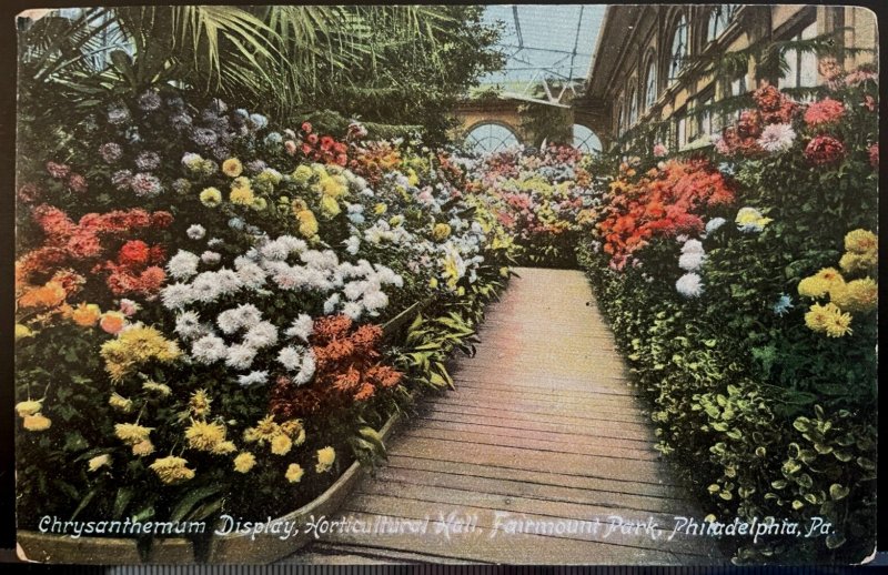 Vintage Postcard 1907-1915 Flower Display, Horticultural Hall, Philadelphia PA