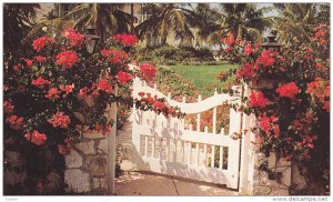 Flower Covered Wall, Garden Gates, Nassau, Bahamas, Antilles, 40-60´s