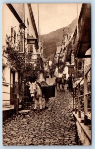 Devon England Postcard Clovelly High Street Animal Cart c1910 Antique