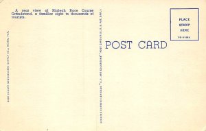 Beautiful Hialeah Race Course Hialeah FL Postcard
