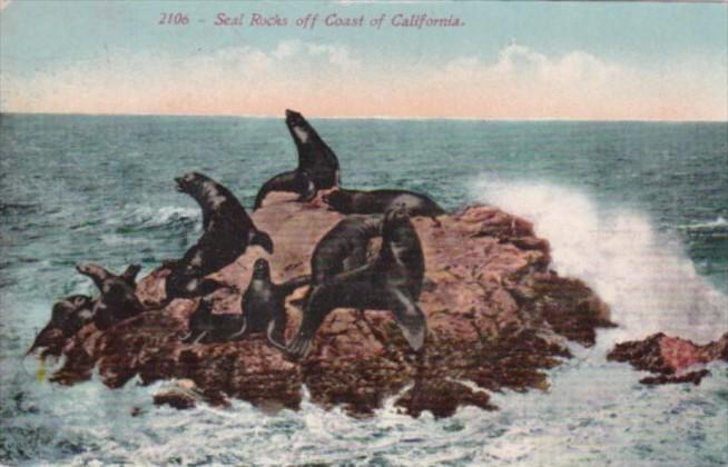 California San Francisco Seal Rocks 1911