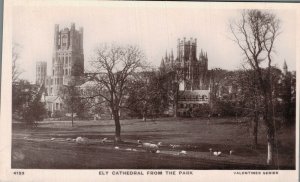 UK Ely Cathedral From The Park Cambridge Vintage RPPC 08.33