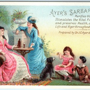 c1880s Ayer's Sarsaparilla Trade Card Bourgeoisie Beautiful Litho Cute Dog C8