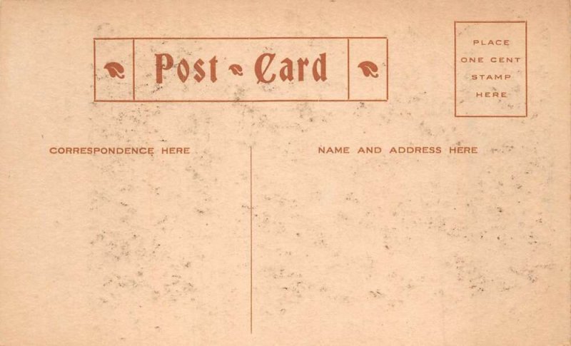 Washington DC Bliss Excursionists Sightseeing Bus Vintage Postcard AA102790