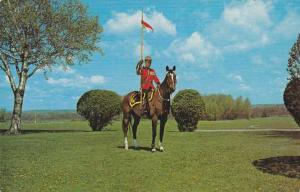 RCMP - Royal Canadian Mounted Police on Horse - pm 1968
