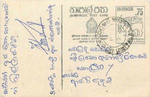 Entier Postal Stationery Postal Sri Lanka Ceylon Lion