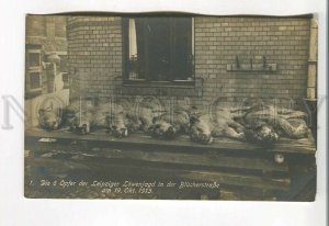 485453 Germany 1913 6 victims of Leipzig lion hunt on Blucherstrasse photo