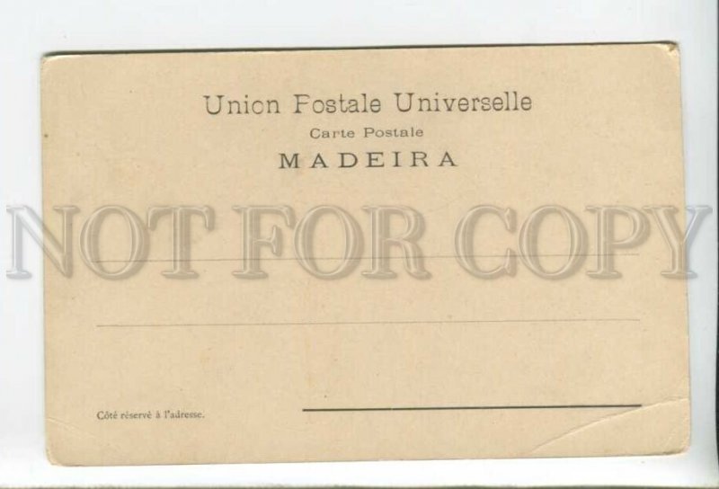 432724 Portugal Madeira Funchal view ships Vintage postcard