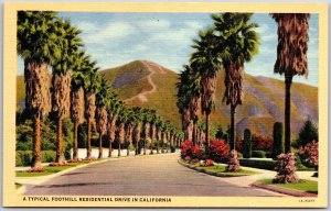 A Typical Foothill Residential Drive in California CA Palms & Mountains Postcard