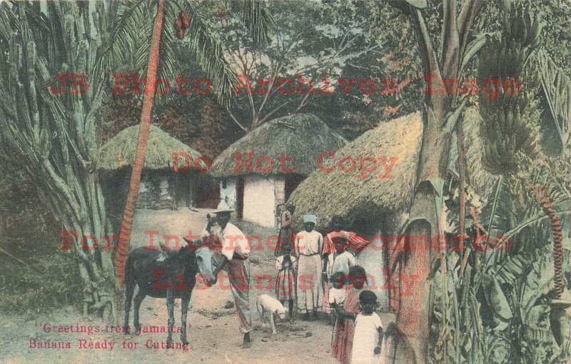 Jamaica, Village, Banana Cutting, A Duperly & Sons Pub