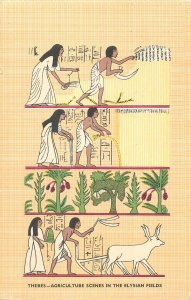 Postcard Egypt Thebes agriculture scenes in the Elysian fields