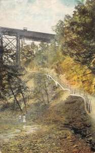 Jacob's Ladder, Watkins Glen, New York Vintage Postcard ca 1910s