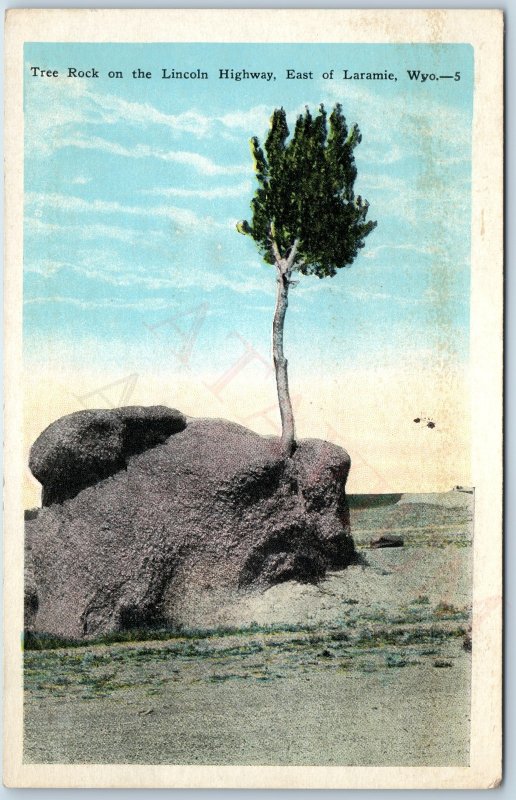 c1910s Laramie, Wyo Tree Rock Lincoln Hwy Rare View Litho Photo Postcard WY A218