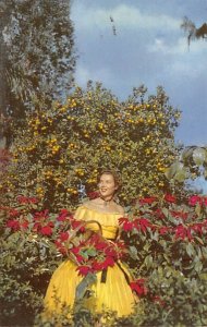 Golden Oranges and Brillian Flowers Tropical Florida Citrus Unused 