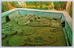 Native Americana~St Augustine FL~Old Indian Burial Ground~Fountain/Youth~Vtg PC