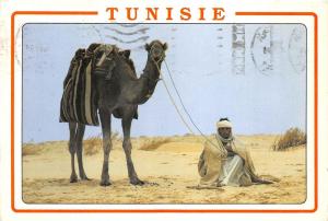 BG9359 le chamelier tunisia types folklore camel