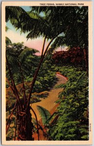 HI-Hawaii, Tree Ferns On Volcano Road, Hawaii National Park, Postcard