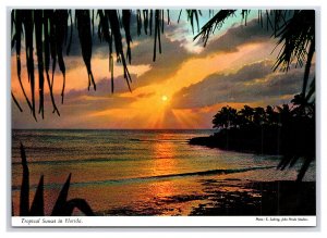 Tropical Sunset In Florida Postcard Continental View Card