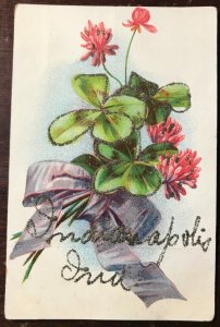 INDIANAPOLIS INDIANA~1910s GLITTER FLOWERS POSTCARD