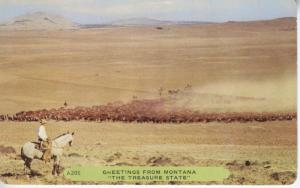 Greetings From Montana 'The Treasure State' ~ Rancher Cowboy Cattle Postcard