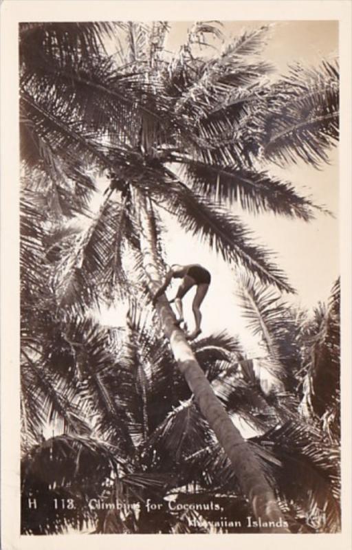 Hawaii Climbing For Coconuts Real Photo