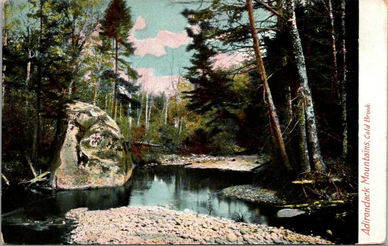 Adirondack Mountains Cold Brook New York Postcard Antique Forest Scene NY