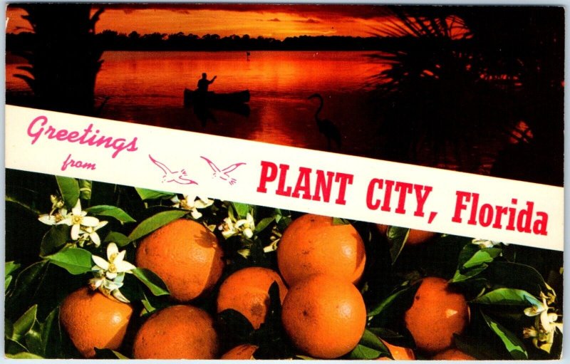 x19 MIXED LOT c1960s Florida Greetings From Chrome City Postcards FL A178-1