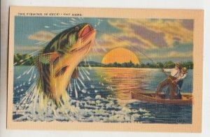 P2623 vintage postcard exaggerated fish 2 men in boat, fishing