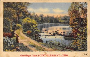 Greetings From Point Pleasant Point Pleasant, Ohio OH Postcard