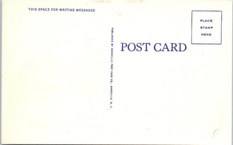 2 Postcards WILSON, NC   Night/Day  WILSON COUNTY COURT HOUSE  ca 1940s Linen