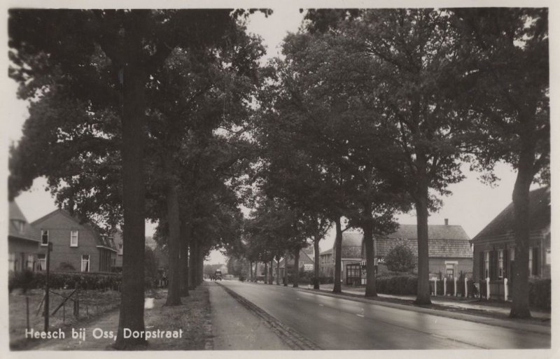 Heesch Bij Oss Dorpstraat Real Photo Dutch PB Postcard