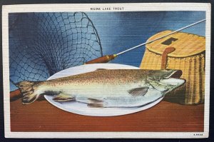 Vintage Postcard 1930-1945 Maine Lake Trout