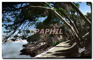 Old Postcard Menton Carnoles Promenade Cap Martin