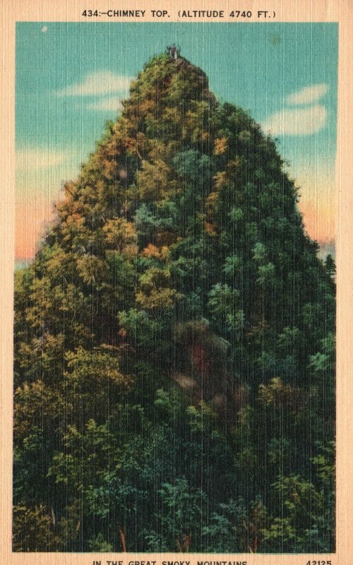 Vintage Postcard 1942 Chimney Top Great Smoky Mountain Tennessee-North Carolina