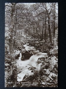 Wales Conwy PENMAERMAWR Fairy Glen DWYGYFYLCHI - Old RP Postcard G.R. Thompson