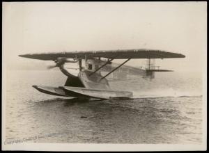 Germany Dornier Wasser D Airplane Original Photograph 65093