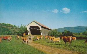 Covered Bridge On East Gates Farm At Cambridge Vermont