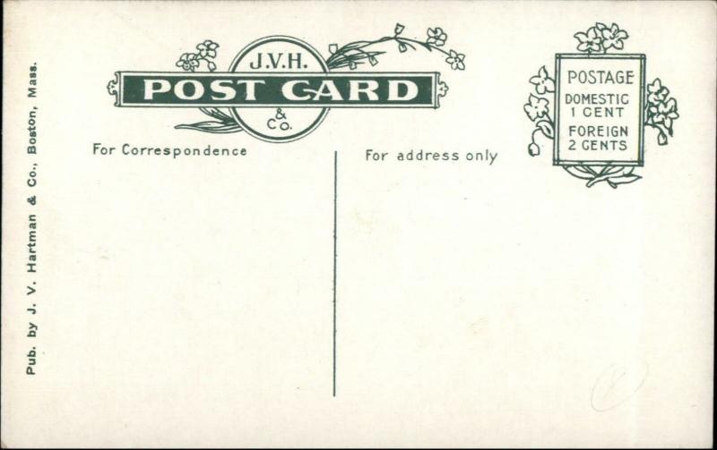 Berlin NH Main St. South c1910 Postcard - Unused