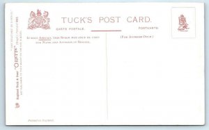 Tuck Oilette The Military in London WHITEHALL Sentry & Mounting Guard Postcard