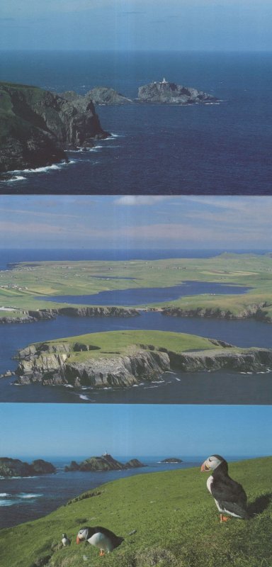Unst Shetland Islands Scotland Puffin Lighthouse 3x Postcard s