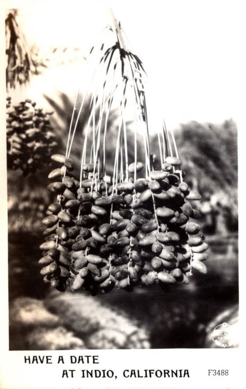 California Indio Cluster Of Dates 1949 Real Photo