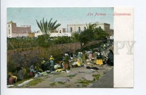 424393 Spain Canary Islands Las Palmas Lavanderas Sandpipers Vintage postcard